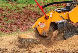 Best Tree Trimming and Pruning  in Framingham, MA